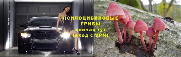 ALPHA PVP Заволжье